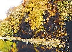 Cosnes-et-Romain
